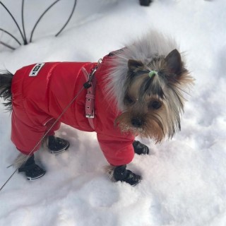 Wasserdichte Winter Haustier Hund Kleidung Warme Haustier Daunenmantel Jacke Overall Welpen Kleidung für Kleine Hund Kostüm C