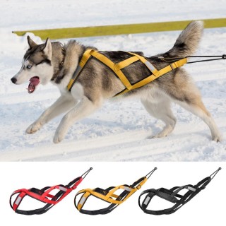 Hundeschlittengeschirr, Haustier-Gewichtszug-Schlittengeschirr, Mushing-X-Rückengeschirr für große Hunde, Husky, Canicross, S