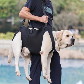 Tragetuch für Hunde, Tragetuch für Hunde, Unterstützung und Rehabilitation der Beine von Haustieren, Hundelift-Geschirr für d
