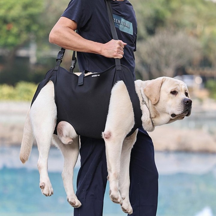 Tragetuch für Hunde, Tragetuch für Hunde, Unterstützung und Rehabilitation der Beine von Haustieren, Hundelift-Geschirr für d