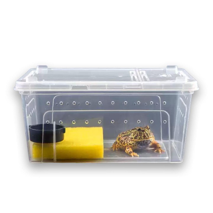 Einfache schokoladenbraune Reptilienzucht mit doppelter Luft, hitzefrei, für Hirschgrillen xx, Gehäuse, Käfig, transparent, D