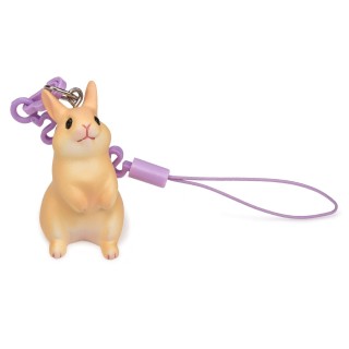 Haustierliebhaber Hamuco Kaninchen Niederländischer Zwerggurt Orange Nakano Yumine Design HS-2001