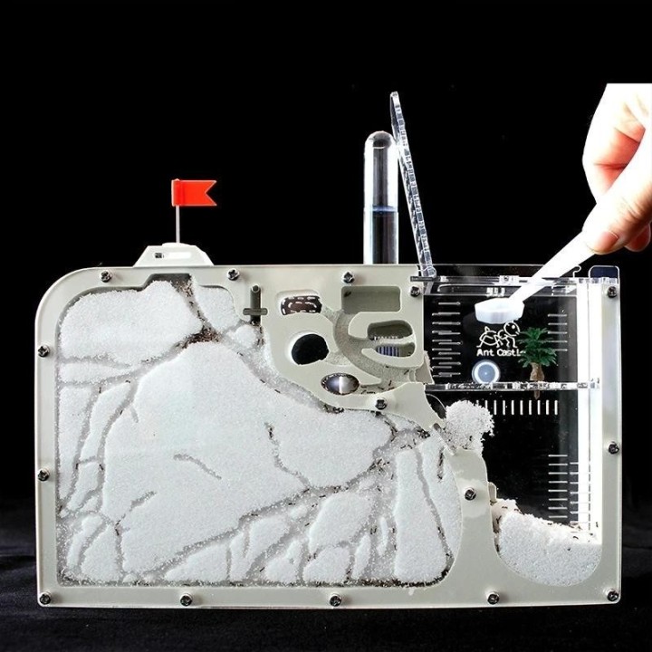 Ameisenburg mit Wasserturm Ameisenhabitat-Beobachtungsset Empire Workshop Ökologische Bildungsbox Geosafari STEAM-Lernwerkzeu