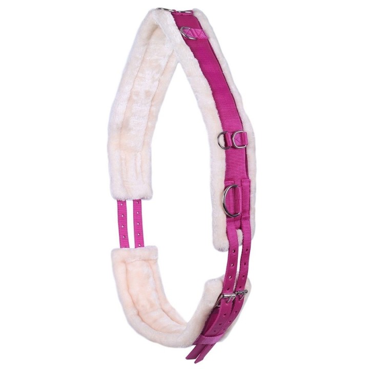 QHP Ontario Longiergurt