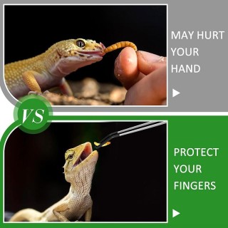 Edelstahl-Futterlöffel für Aquarien, Pinzette, Aquarium-Clip-Werkzeug, Fütterungszange für Reptilien, Haustierzange mit rutsc