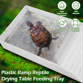 with Ramp Reptile Pool Bowl Plastic Reptile Feeding Box Dish Hermit Crab Climbing Toy S braun