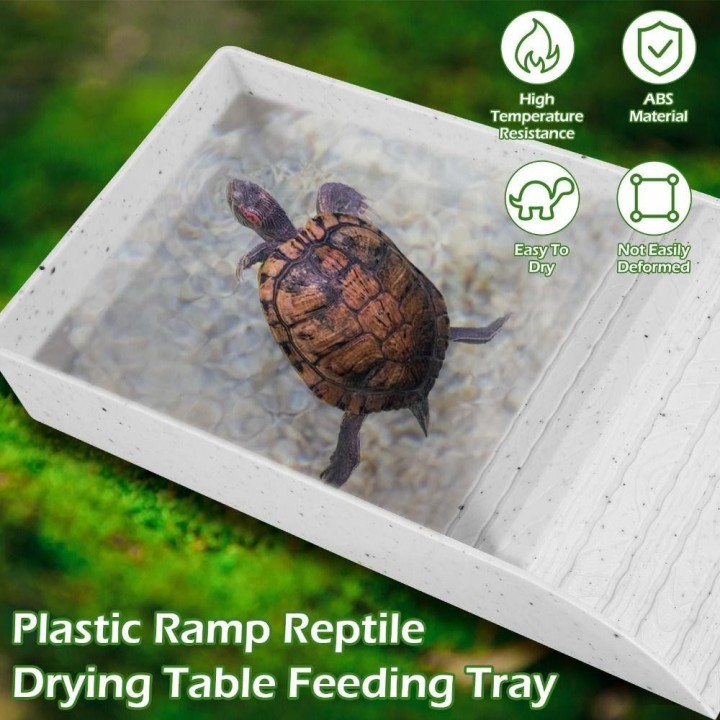 with Ramp Reptile Pool Bowl Plastic Reptile Feeding Box Dish Hermit Crab Climbing Toy S braun