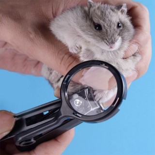 Kleiner Nagelknipser für Haustiere mit Lupe für Hamster, Igel, Chinchilla, Meerschweinchen