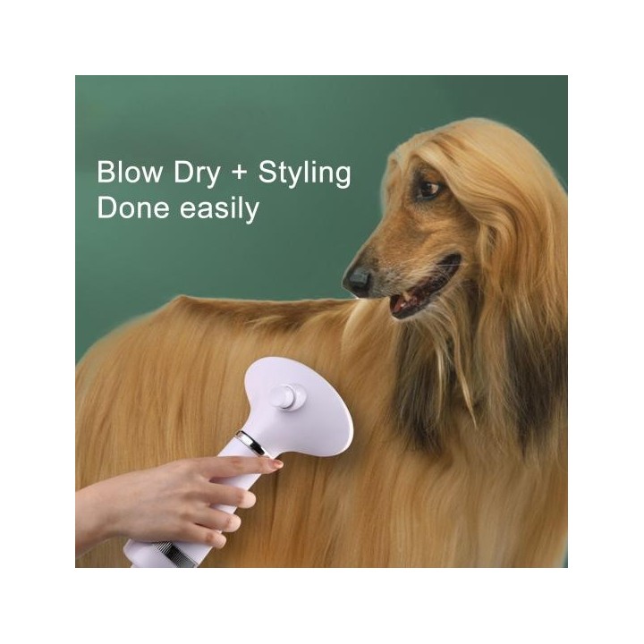 Haustier-Haartrockner, Mehrzweck, Geräuscharm, Gute Wasseraufnahme, Einstellbare Temperaturen, Hundepflege blau