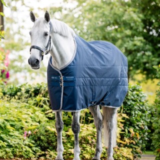 Horseware Ionic Therapy Stable 50g