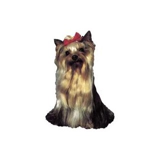 Großer Aufkleber, 2er Packung