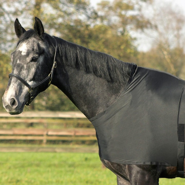 QHP Brustschutz Elastisch