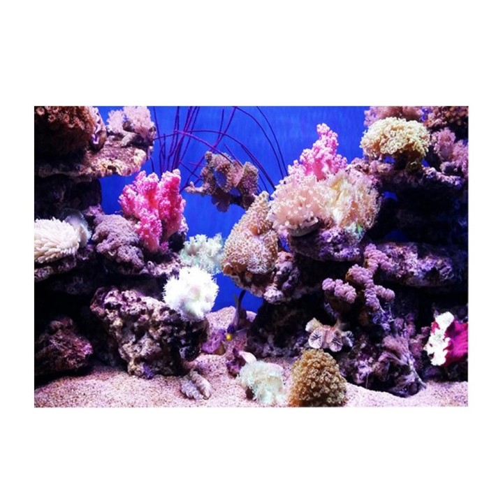 3D Effect Adhesive Coral Seaworld Poster for Aquarium Fish Tank Decoration 61 x 41cm