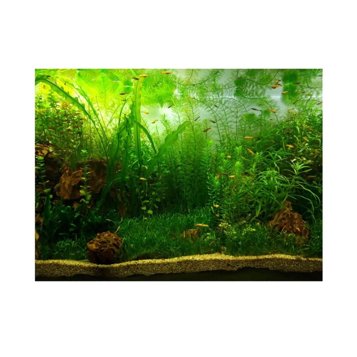 Wasser Gras Stil Aquarium Fisch Tank Hintergrund Poster PVC Klebstoff Dekor Papier (122*50cm)