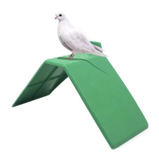 10PCS Dove Rest Stehen Kunststoff Tauben Vogel Stand Sitzstangen Rutschfeste Taube Vogel Barsch Vogel Halter