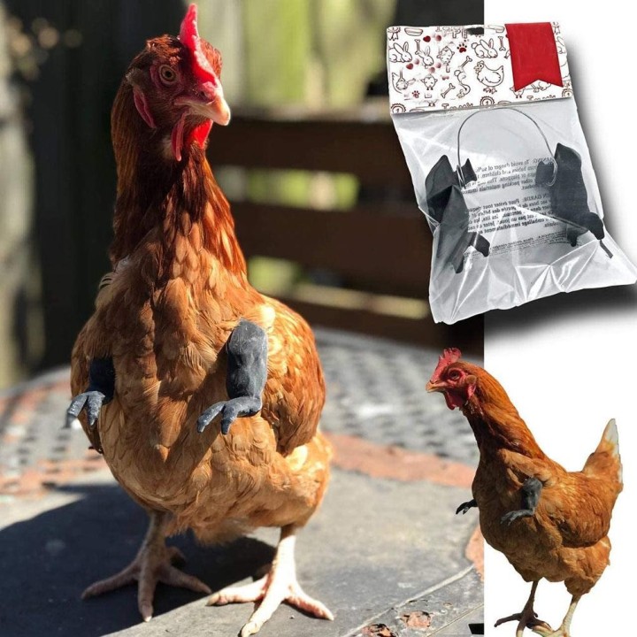 Hühnerarmknebel, Geschenk, Hühnerkostüm, Waffenspielzeug für Vogelhuhn schwarz