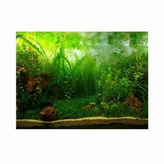 Wasser Gras Stil Aquarium Fisch Tank Hintergrund Poster PVC Klebstoff Dekor Papier (91*41cm)