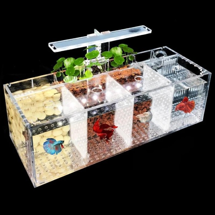Acryl Micro Kleine Fisch Tank Desktop Mini Aquarium Betta Tank Kunststoff Fisch Schüssel Schildkröte Tank Kunststoff Fisch Sc