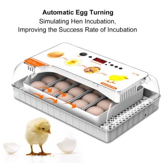 Inkubator zum Ausbrüten von Eiern, automatische Eierwende, 20 Eier, LED, effiziente Eierbeleuchtung, Display UK Plug weiß