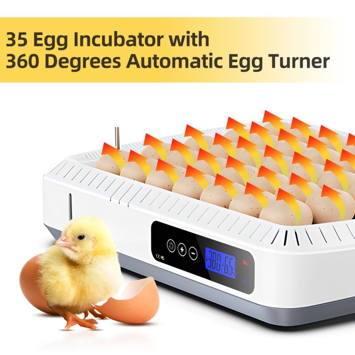 35 Eier-Inkubator, 360 Grad, automatischer Eierwender, Inkubatoren zum Ausbrüten von Eiern mit Temperatur und US Plug weiß