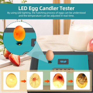 Brutapparat für 25 Eier zum Ausbrüten von Eiern. Automatischer Eierwender mit Temperatur- und Luftfeuchtigkeitsregelung US Pl