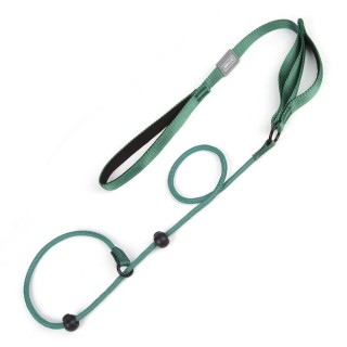 Hundeleine, rutschfeste Hundeleine, verstellbare Rutschleine, einteilige, verstellbare Hundetrainingsleine, kein Ziehen orang