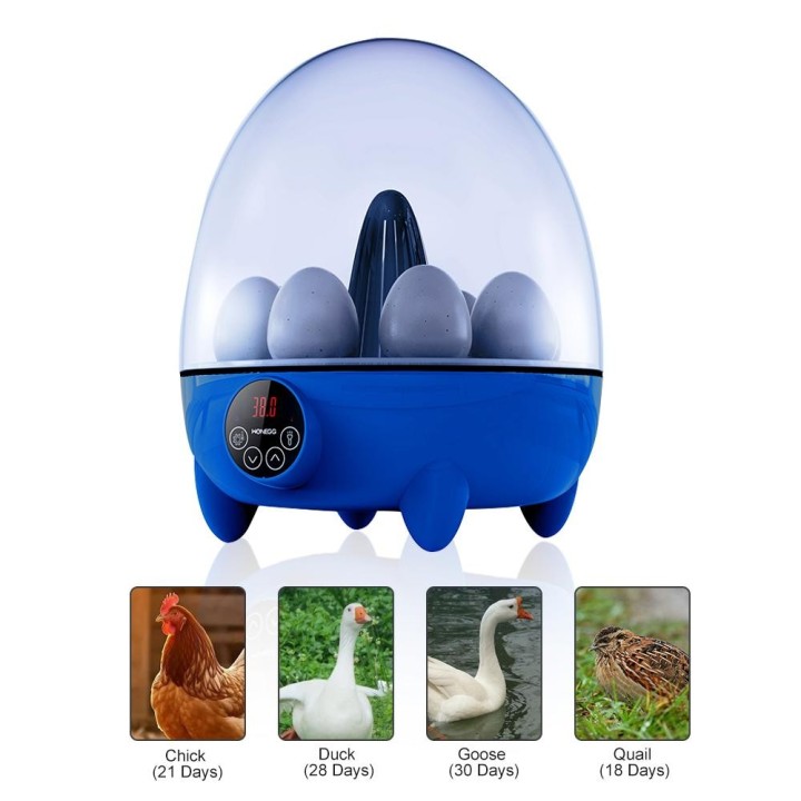 Inkubatoren für Bruteier, 8-Eier-Inkubator mit LED-Licht, Temperaturregelung, 360-Grad-Ansicht US Plug blau