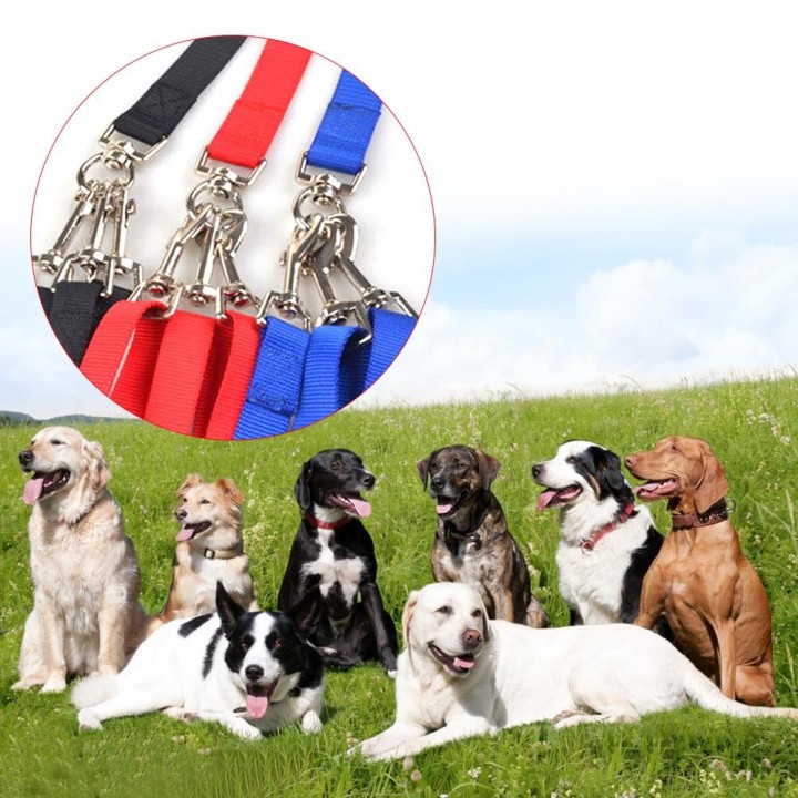 Hunde-Dreikopfleinen-Set mit verstellbarer Ein-zu-Drei-Leine aus Nylon schwarz