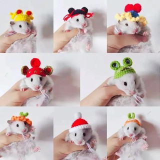 Haustier Hamster Wellensittich Nymphensittich Pfingstrose Papagei Vogel Hut Wolle Häkeln Gestrickte Papagei Hut Kleine Tiere