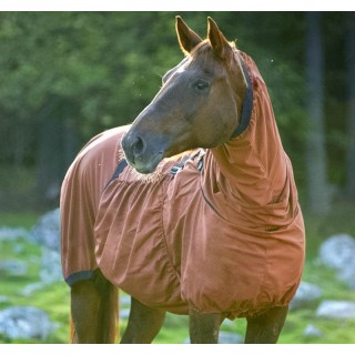 Boett Ekzemerdecke Sweet Itch - chestnut / (Größe 140 - 170)