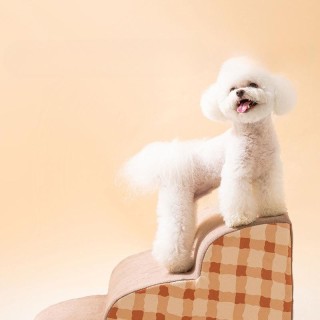Haustiertreppe, abnehmbare Schwammstufen, kleiner Hund, Vakuum-Schlafsofa, Kletterleiter, Hangmodell, Hundekletterleiter pet