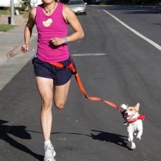 Hundeleine aus Nylon, für Training, Laufen, Leine, verstellbares Traktionshalsband, Seil