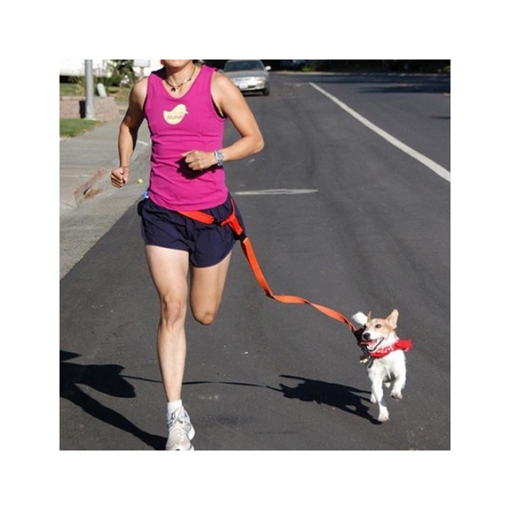 Hundeleine aus Nylon, für Training, Laufen, Leine, verstellbares Traktionshalsband, Seil