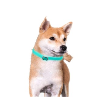 Reflektierendes leuchtendes Haustier-Floh-Zecken-Halsband, wasserabweisendes Haustier-Halsband für große Hunde L grau