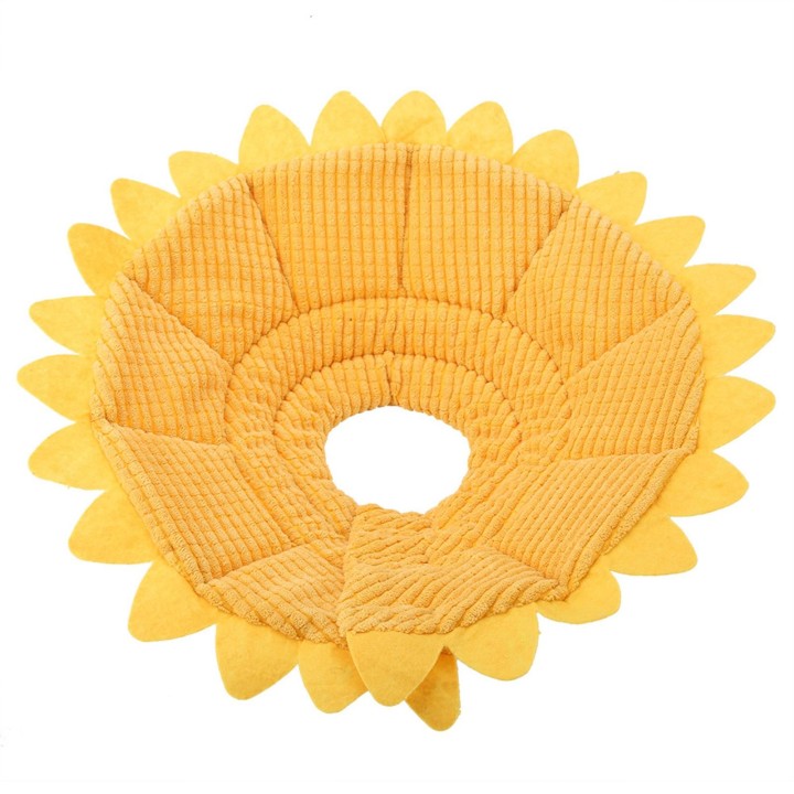 Modisches Haustier-Wiederherstellungshalsband für Welpen, Hunde und Katzen, medizinische Wundheilung, Sicherheitsschutz (22-2