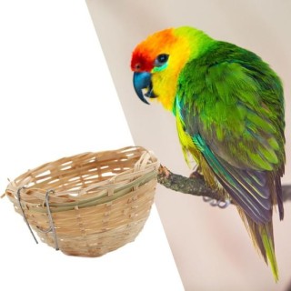 Vogelnest, einfach zu installierendes, verschleißfestes Zubehör