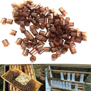 Imkerei-Werkzeuge Braun Imkerei Zucht Imkerei Komplette Cell Cup 240 Pc 1X1CM braun