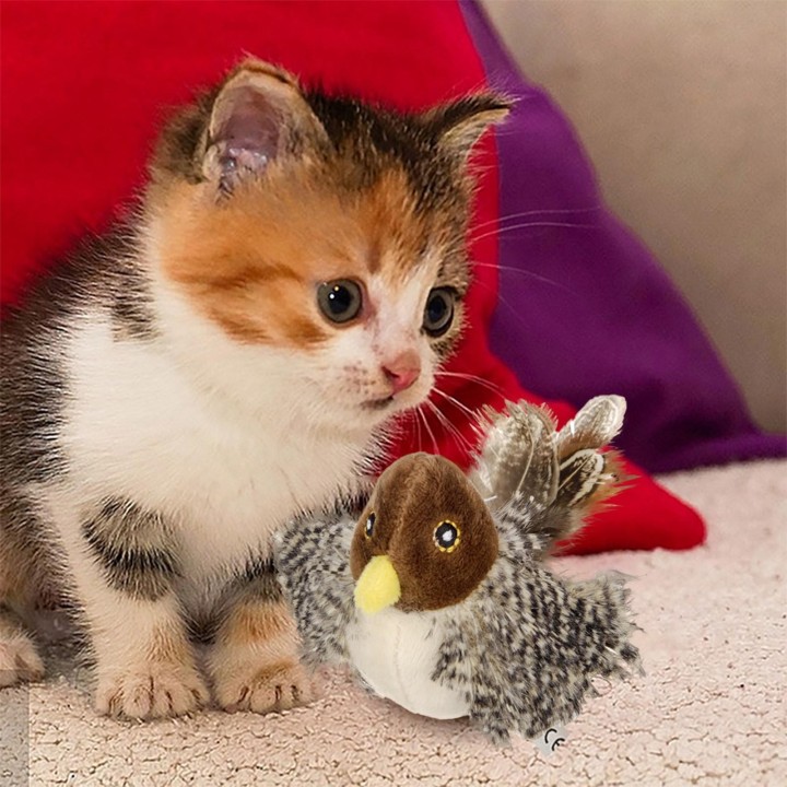 Katzenspielzeug Flattervogel (Wird nicht fliegen), Lebensechte männliche Bekassine, Spatz, wiederaufladbares aktiviertes Spie