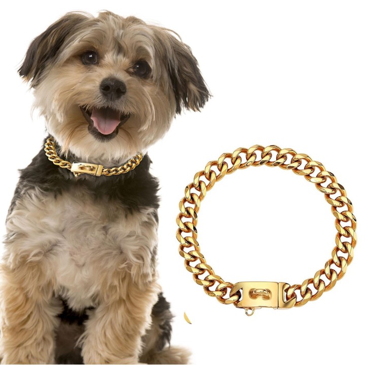Goldenes Hundehalsband aus Metall und Edelstahl mit starker Kette für kleine Welpen One Size