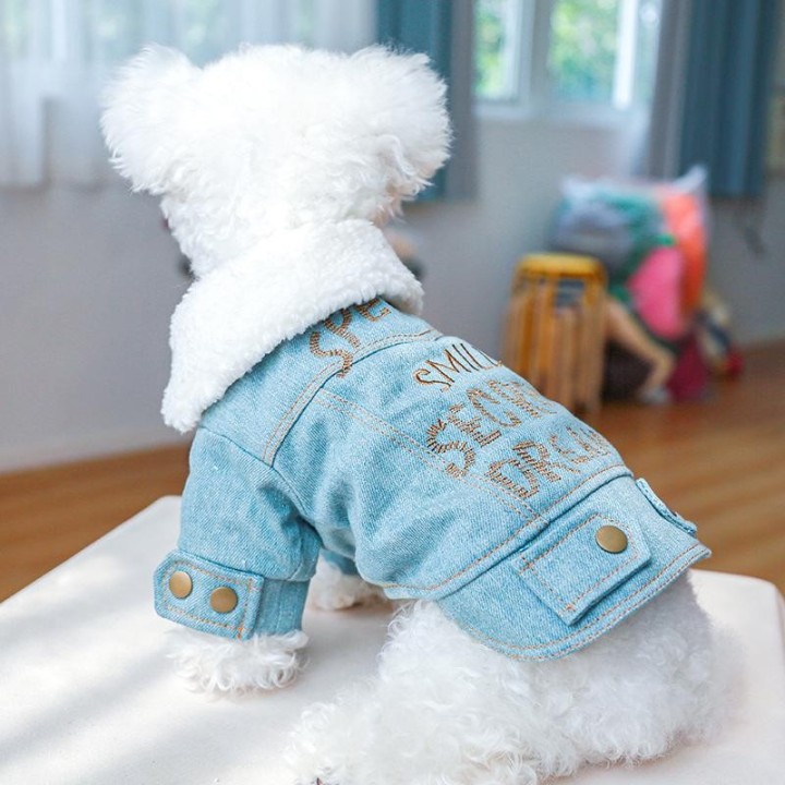 Winter-Denim-Hundejacke mit Buchstaben, Kleidung für kleine Hunde, dicker warmer Mantel, Jeans-Kostüm für Chihuahua, Pudel, B