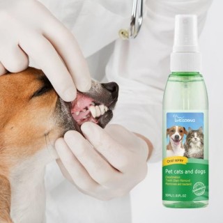 Tragbares Mundspray für Haustiere, sichere Inhaltsstoffe, praktische Zahnpflege, Atemerfrischer, 30 ml