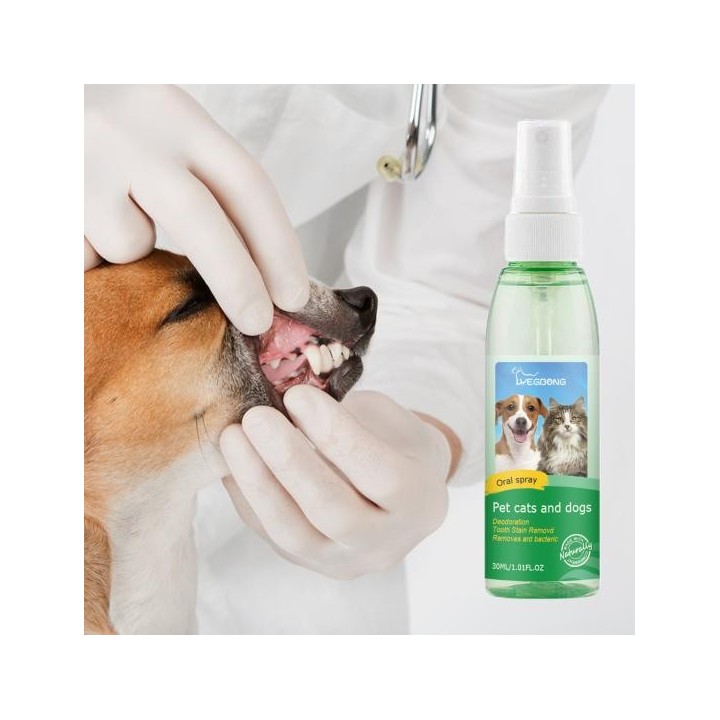 Tragbares Mundspray für Haustiere, sichere Inhaltsstoffe, praktische Zahnpflege, Atemerfrischer, 30 ml