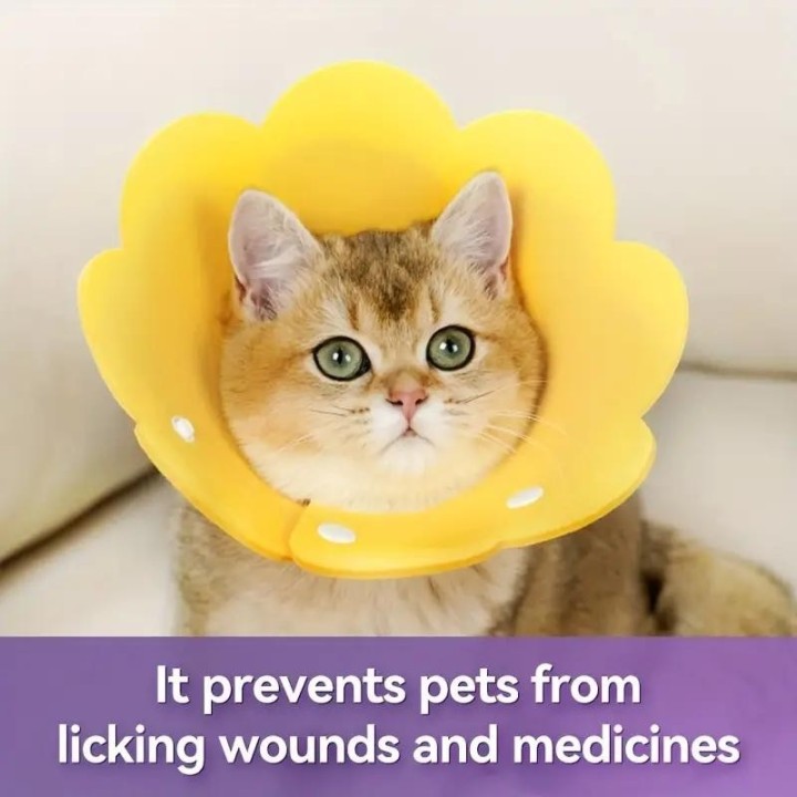 Schutzhalsband für Haustiere, Halskegel für Hunde, Genesungskegel, Halsband gegen Beißen, Lecken, chirurgische Eingriffe, Wun