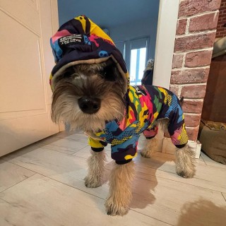 Haustier Hund Kleidung Winter Warm Hund Winddicht Mantel Verdicken Haustier Kleidung Für Hunde Katzen Kostüm Overall Hoodies
