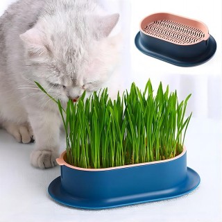 Haustier Katze Sprießen Gericht Wachsen Topf Katze Gras Keimung Verdauung Starter Gericht Gewächshaus Wachsen Box Hydrokultur