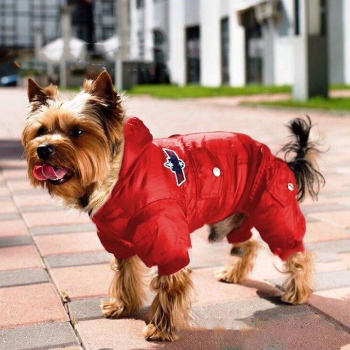 Herbst Winter Warme Haustier Hund Jacke Uniform Wasserdicht Verdicken Mit Kapuze Hund Gepolsterten Mantel Für Kleine Mittelgr