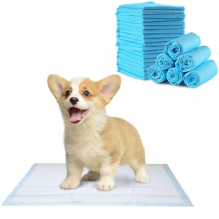10 Stück Hundetrainings-Pipi-Pads, super saugfähig, Welpen-Hundewindel, Einweg-Windelmatte für gesunde, saubere Haustiere, Mi