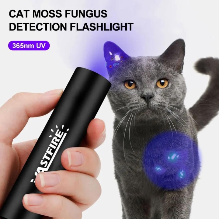 USB-aufladbare 365-nm-UV-Taschenlampe, Ultraviolettlampe, Taschenlampe, Schwarzlicht, Haustier-Moosdetektor für Katzen, Hunde