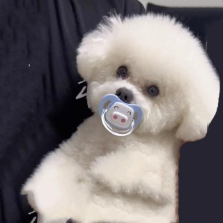 Schnuller Kauspielzeug Beruhigendes Backenzahnspielzeug Praktischer Schnuller 1