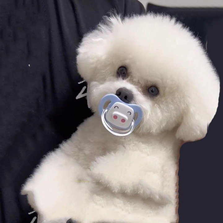 Schnuller Kauspielzeug Beruhigendes Backenzahnspielzeug Praktischer Schnuller 1